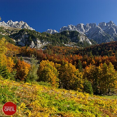 Der Kaiserherbst ist Wanderzeit am Wilden Kaiser. Genau wie im Frühling versteht es die Natur auch im Herbst besonders gut, ihre ganze Schönheit zu präsentieren.