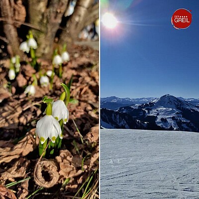 Ostergenuss mit der Familie dahoam beim GREIL – 27.03.-06.04.2026 Aufwachen mit Bergblick Frühstücksbuffet in Mamas Küche Vom GREIL mit dem Skibus zur Gondel (Skibetrieb ab 8 Uhr!) Skitag in der...